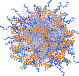 Cluster 01
