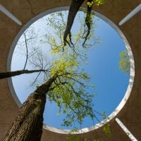 Sustainability in Construction: A Conversation w. Expert Shirin Fataei